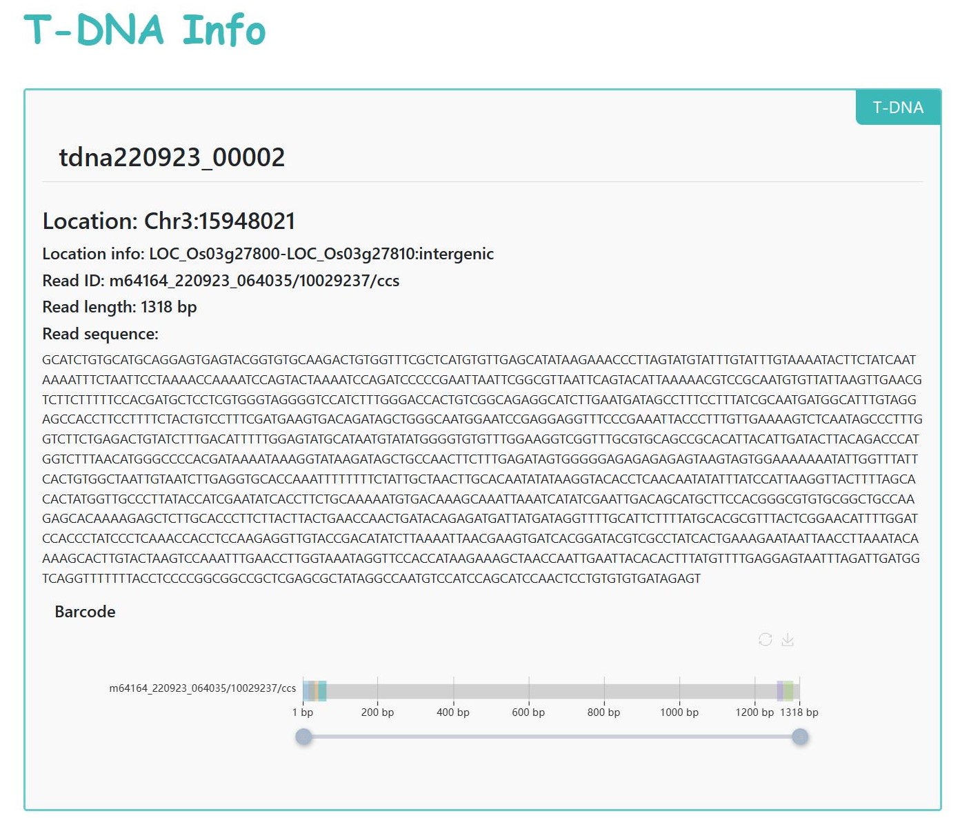 tdna3